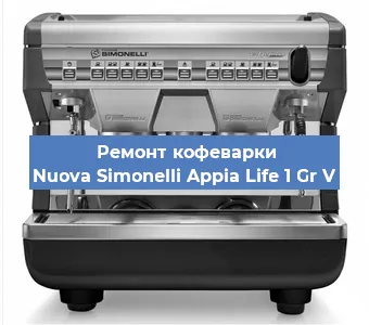 Замена | Ремонт редуктора на кофемашине Nuova Simonelli Appia Life 1 Gr V в Санкт-Петербурге